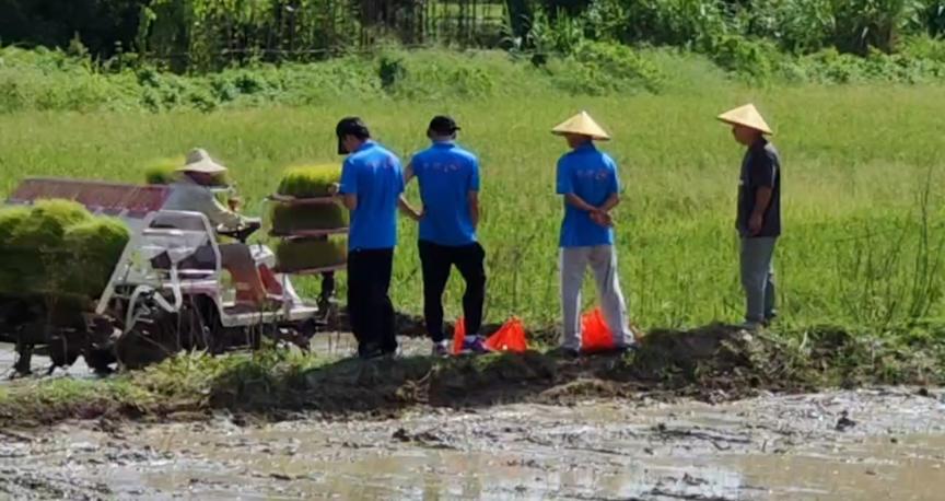 福建農大學子深入調查水稻種植的過程和方式