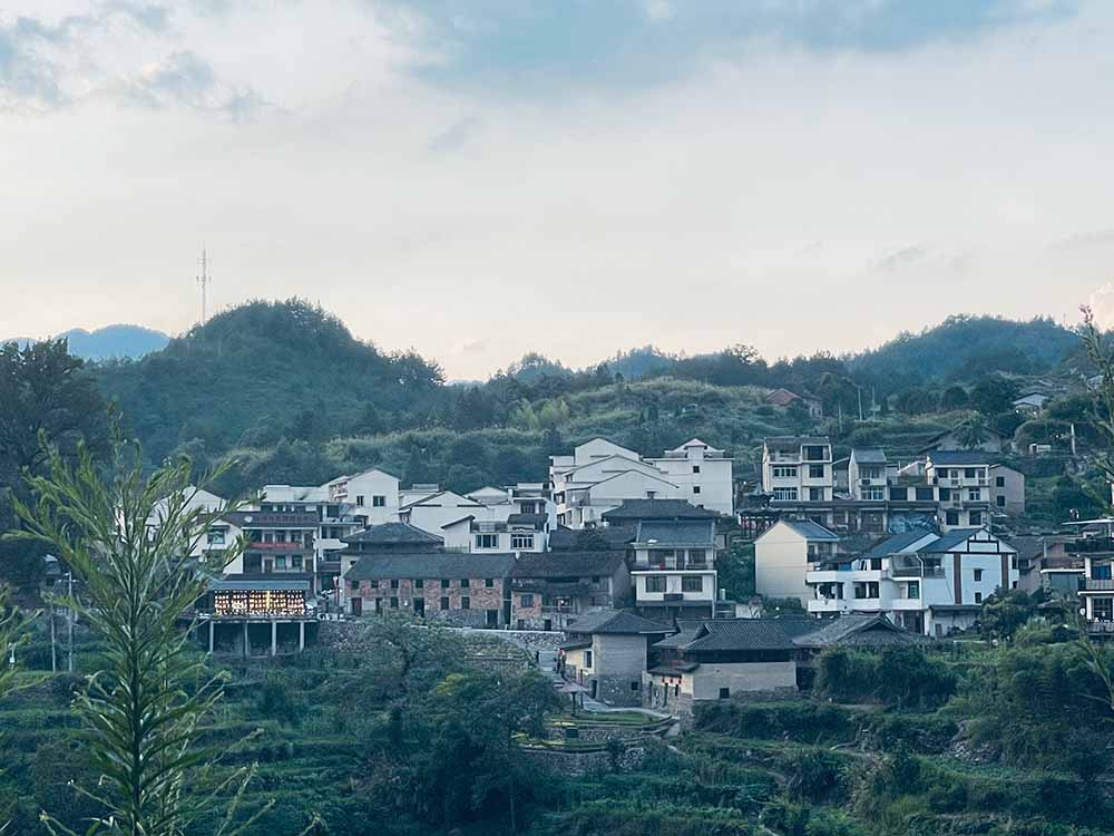 暑期社會實踐·大學生助力鄉村米酒，把酒賣到“云上”去