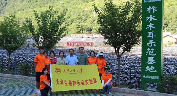 “厚植創(chuàng)新沃土，滋養(yǎng)科技之花” ——西安工業(yè)大學學生赴陜西省商洛市柞水縣金米村暑期社會實踐