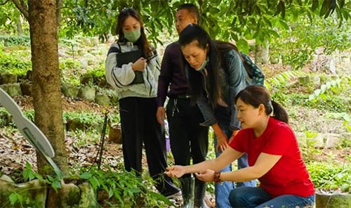 科技特派員師生團到三葉青種植基地調研