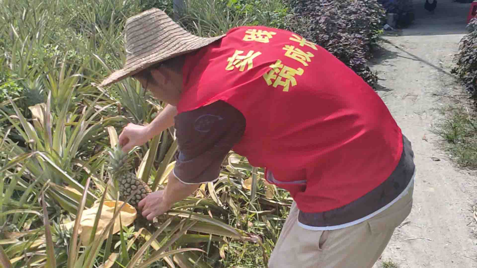 桂航學(xué)子暑期實(shí)踐活動：覽鄉(xiāng)村之成果 用行動踐初心