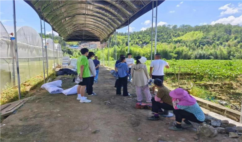 情系百香果，共筑夢想園