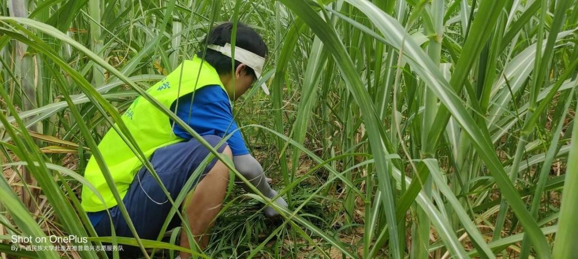 三下鄉：服務隊深入田間助農，共同促進鄉村振興