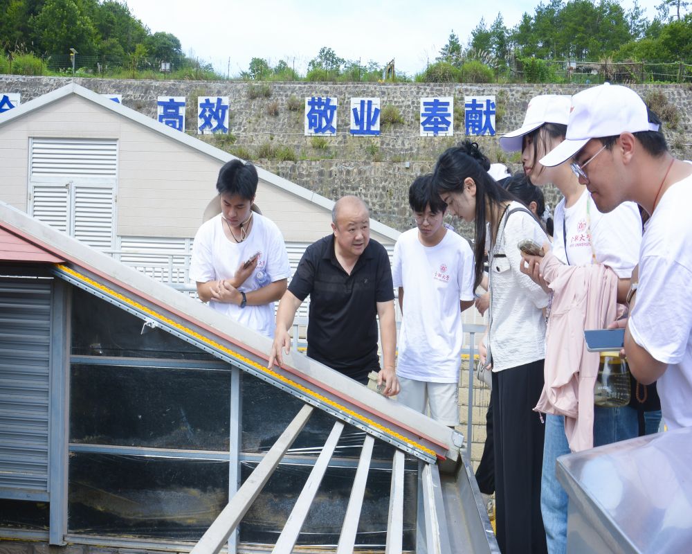 供水調研促發展，民生保障惠萬家—合肥大學“岳”動青春，遇“踐”盛夏實踐