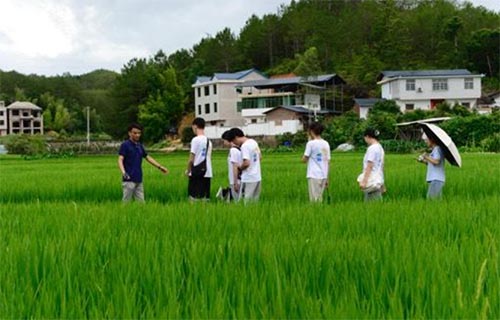 集美大學“傾潭振汀”實踐隊赴長汀紅色舊址群參觀學習、南坑村實地調研