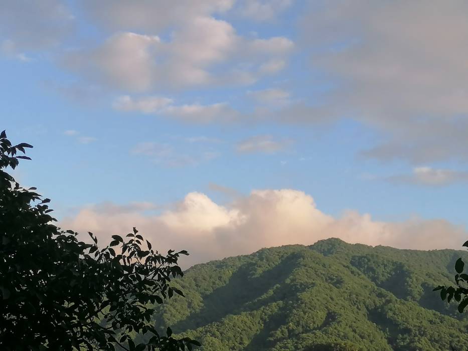 穿梭千年，文物“活”在當下 ——蘇州大學“哲學+”實踐團走進天水市仙人崖石窟