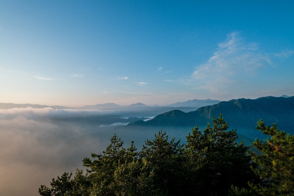 雨水無情人有情，鄉村振興見真情