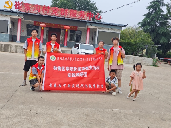 西北農林科技大學“鄉村振興教育先”實踐隊赴楊凌崔東溝村