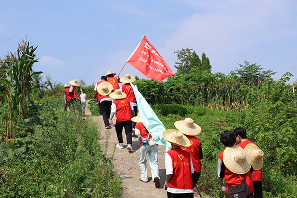 青年聚力情暖一老一幼，腳步不歇丈量青春沃野——“繁花